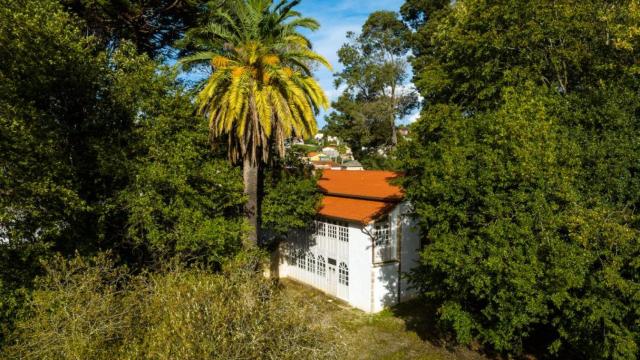 Finca Tenreiro en Nós