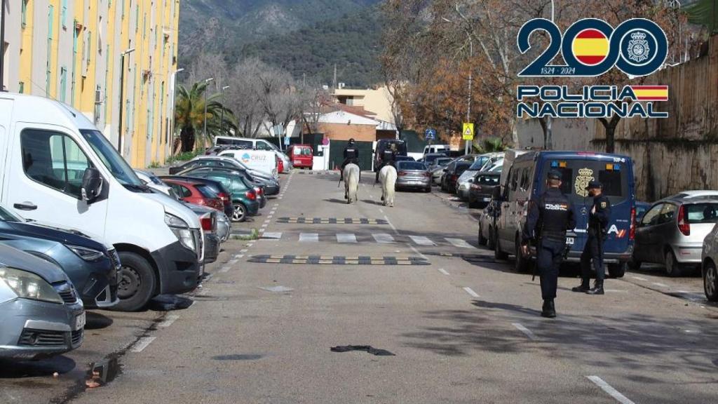 Despliegue policial en Marbella.