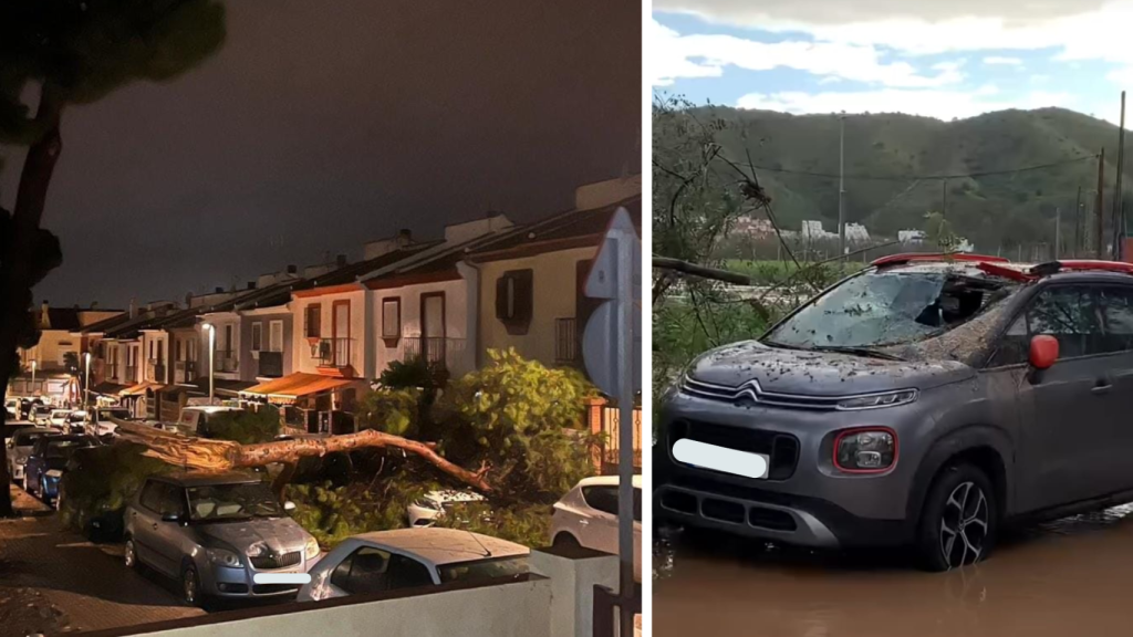 Así han quedado varios vehículos.