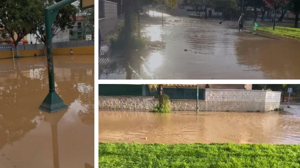 Imágenes cedidas por Lorena.