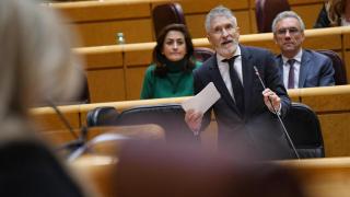 El ministro del Interior, Fernando Grande-Marlaska