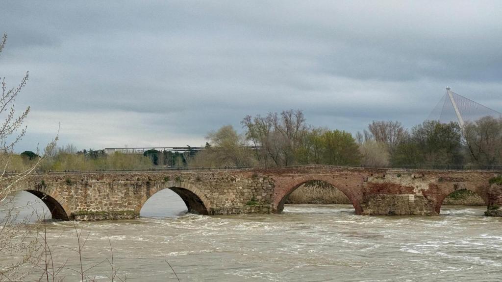 Imagen del río Tajo crecido a su paso por Talavera de la Reina.