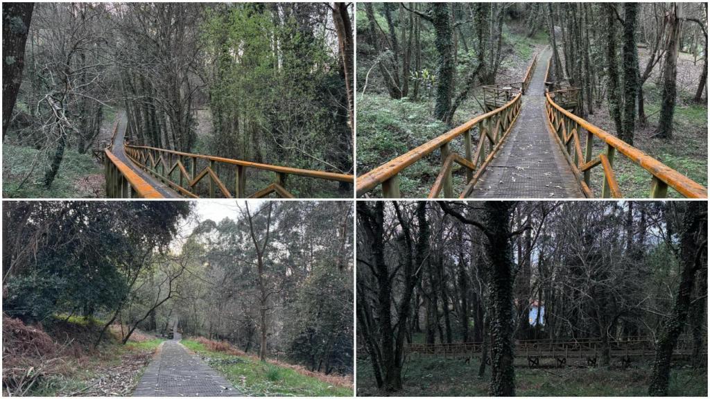 Bosque dos Veciños