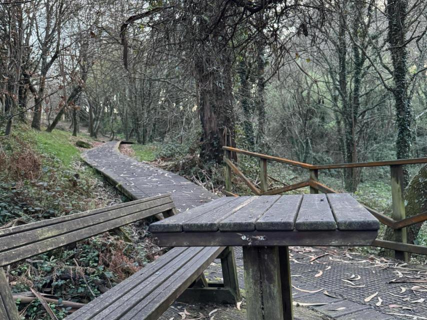 El merendero del Bosque dos Veciños.