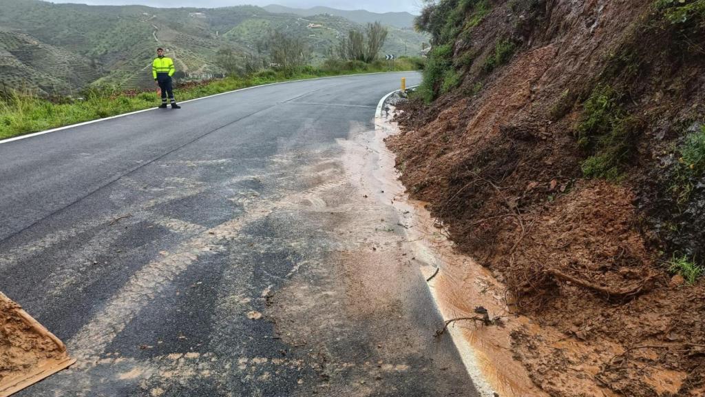Una carretera del interior de Málaga afectada por la borrasca.