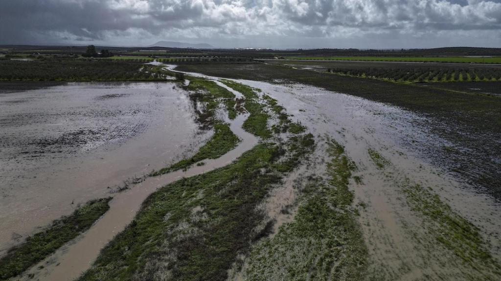 Campos inundados en la campiña de Arahal (Sevilla).