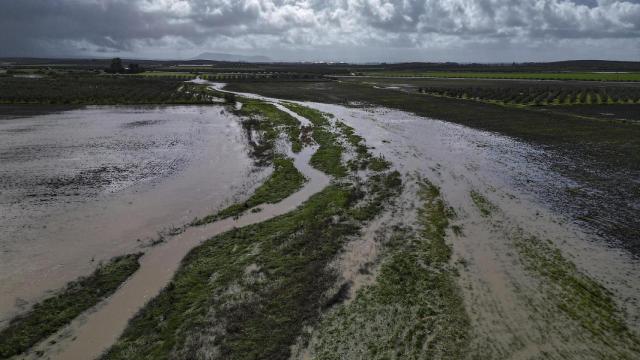 Campos inundados en la campiña de Arahal (Sevilla).