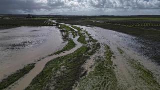 Campos inundados en la campiña de Arahal (Sevilla).