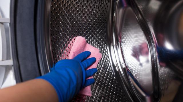 Una persona limpiando a fondo una lavadora con un paño.