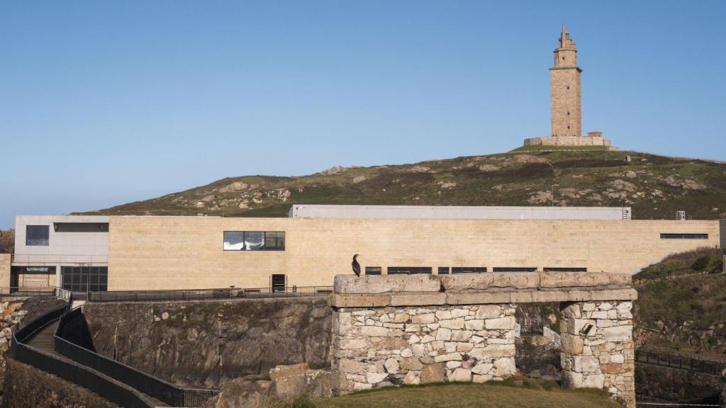 El Aquarium de A Coruña acoge un taller de biodiversidad con animales vivos.