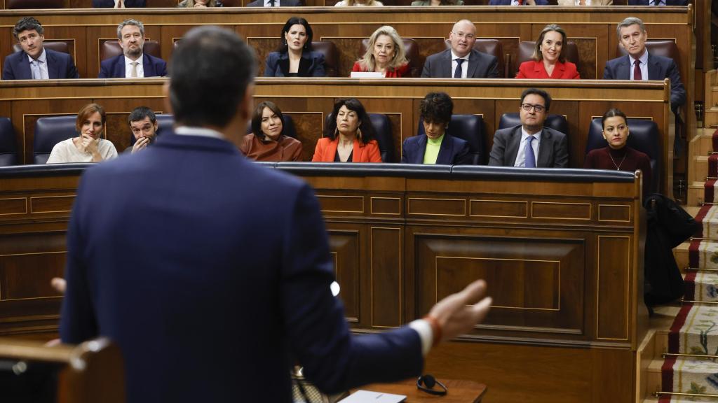 Pedro Sánchez, de espaldas, responde a Alberto Núñez Feijóo en la sesión de control al Gobierno en el Congreso.
