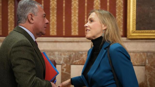 El alcalde de Sevilla, José Luis Sanz, y la portavoz de Vox, Cristina Peláez.