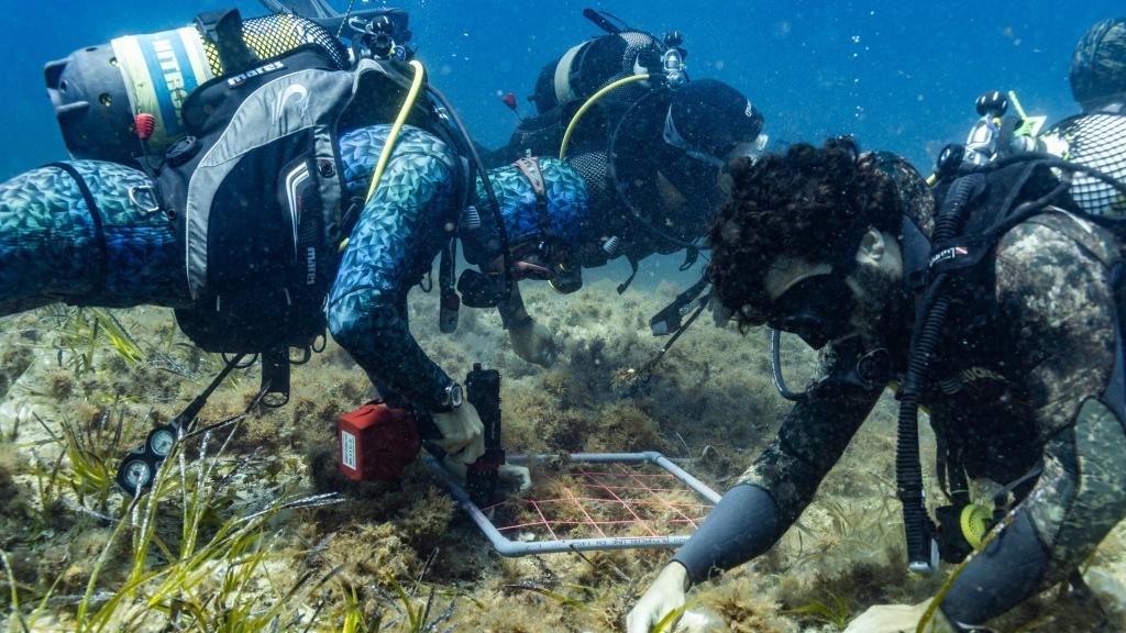 Manu San Félix restaurando una pradera arrasada por las anclas.