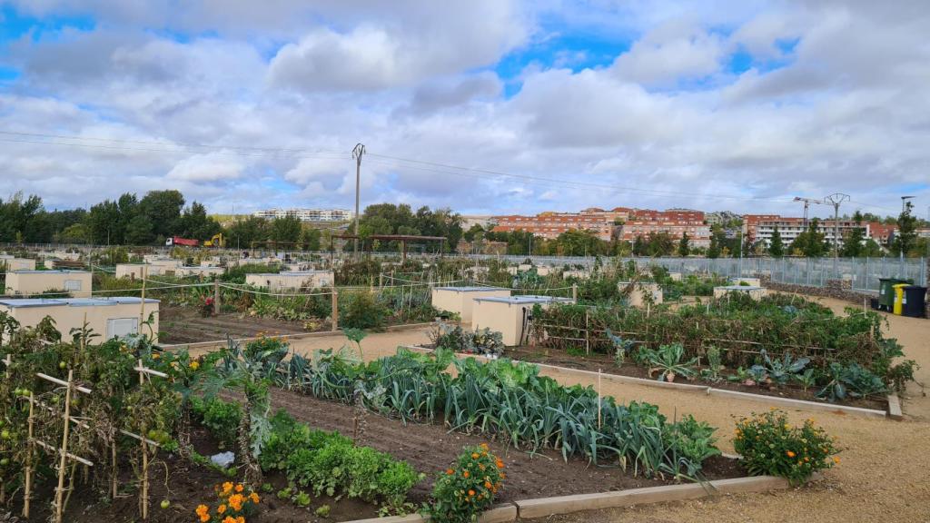 Los huertos urbanos de Salamanca