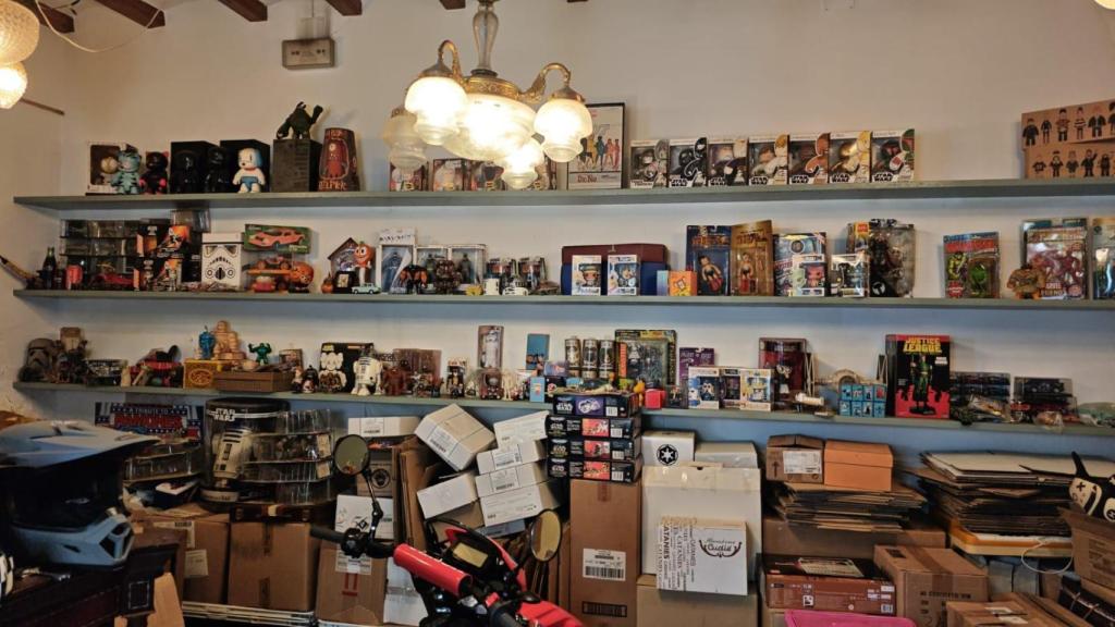 Almacén de colecciones de Albert