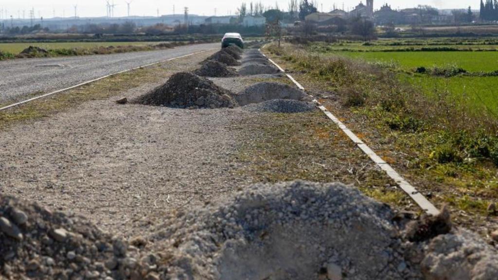 Proceso de plantación en zonas de la ciudad.