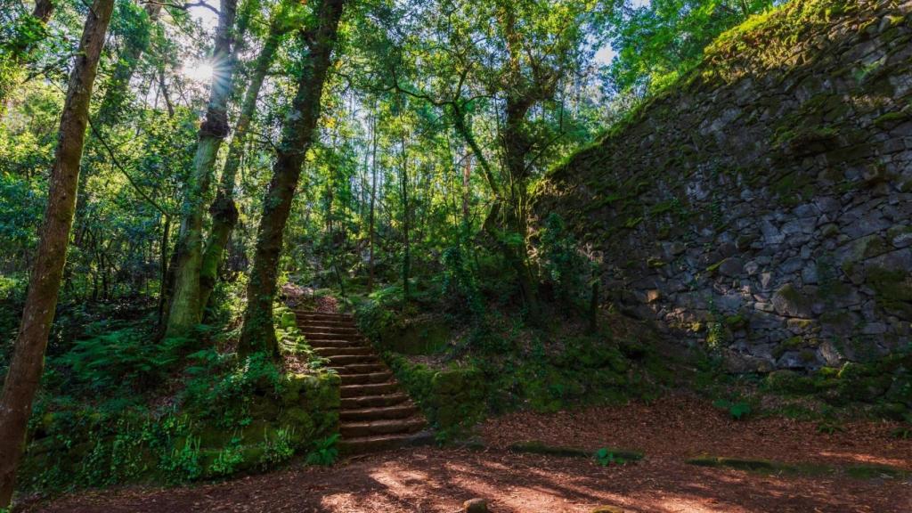 Camino por el Bosque Encantado de Aldán.