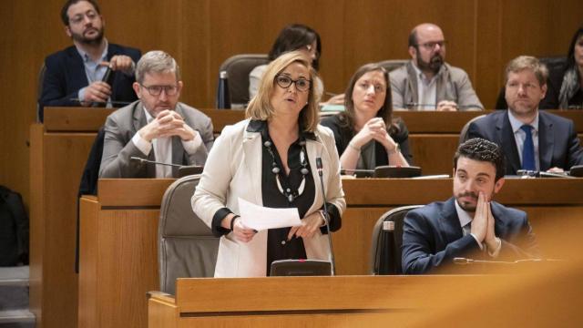 Mayte Pérez, en una de las últimas sesiones de control en las Cortes de Aragón.