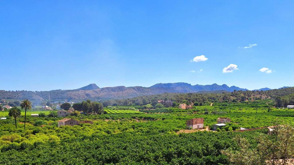 Vista de Carcaixent (Valencia). Turisme CV
