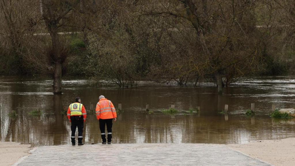 Efectivos de Protección Civil junto al río Manzanares.