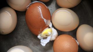 Unos huevos cocidos cuya cáscara se ha roto en el agua