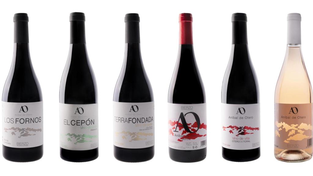 Los vinos que componen el catálogo de Anibal de Otero.