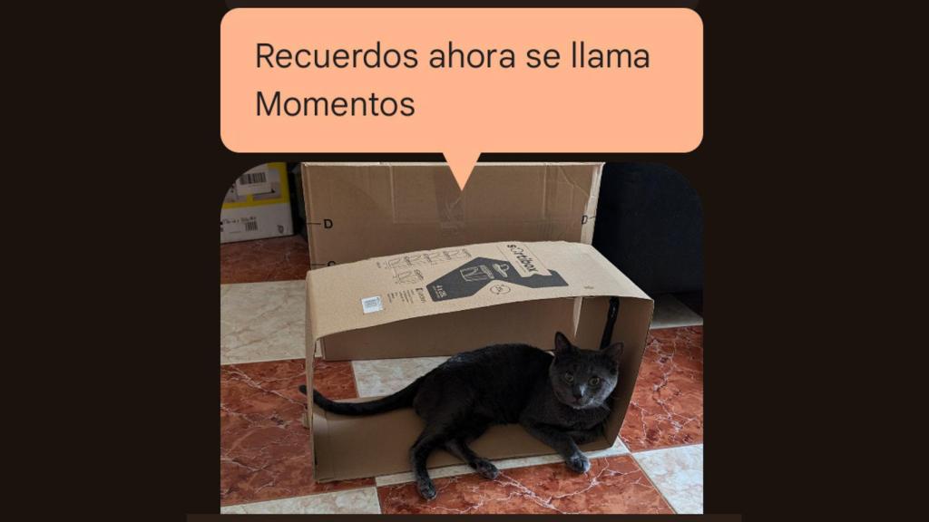 Recuerdos de Google Fotos ahora se llama Momentos
