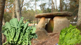 Grelos y el dolmen de Axeitos. https://es.wikipedia.org