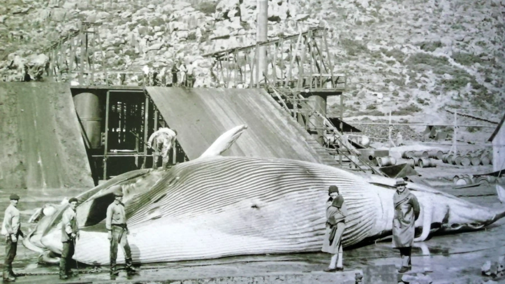 Factoría de Caneliñas, en los años 20 del siglo XX.