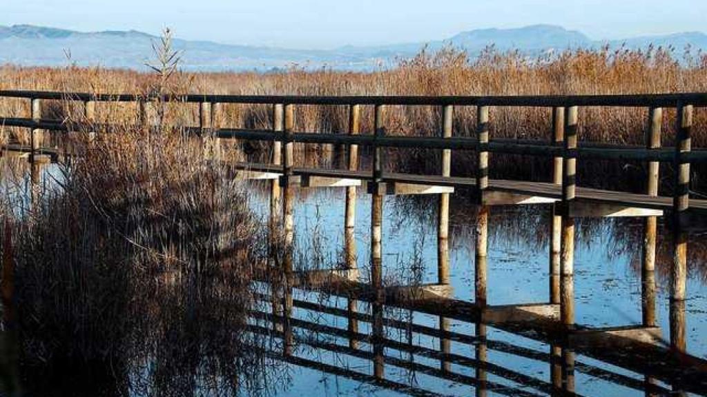 Parque Natural el Hondo.