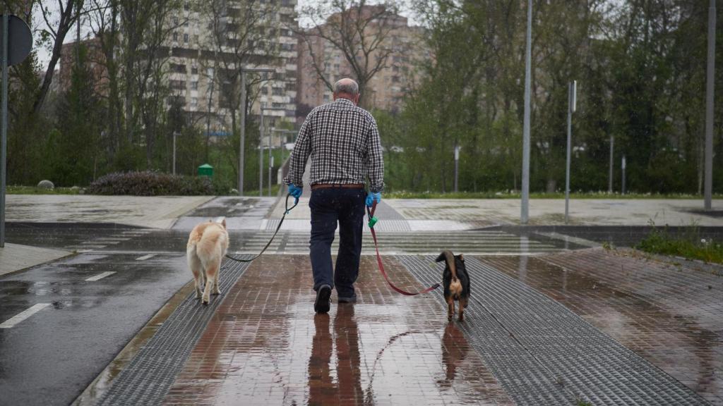 Imagen de un anciano paseando perros.