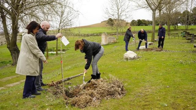 La Diputación de Segovia planta una treintena de árboles en Martín Muñoz de las Posadas para celebrar el Día Mundial del Árbol