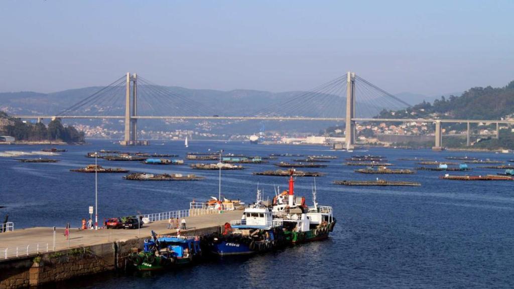 Cierre inesperado de una de las marcas más populares de conservas en Galicia: despiden a 18 trabajadores.