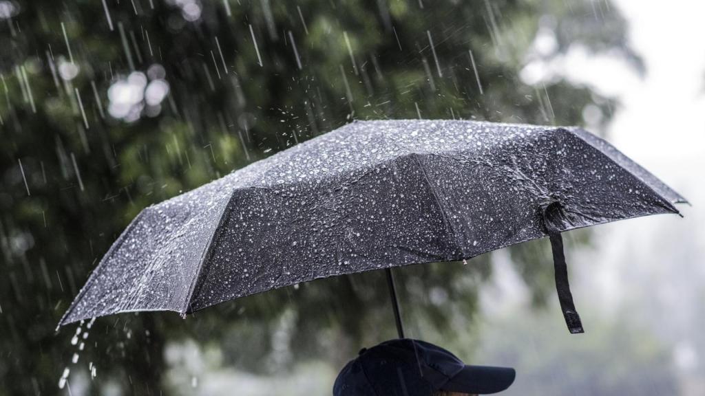 Un paraguas bajo la lluvia