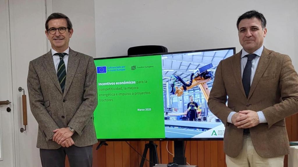 El consejero de Industria, Jorge Paradela, presenta los incentivos.