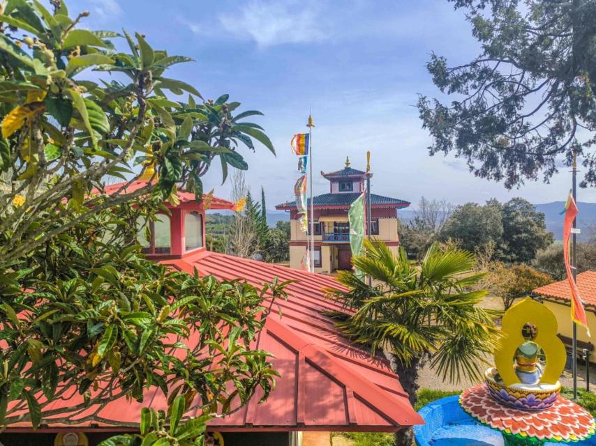 Uno de los residentes fijos del templo Dag Shang Kagyu, durante la oración de la mañana.