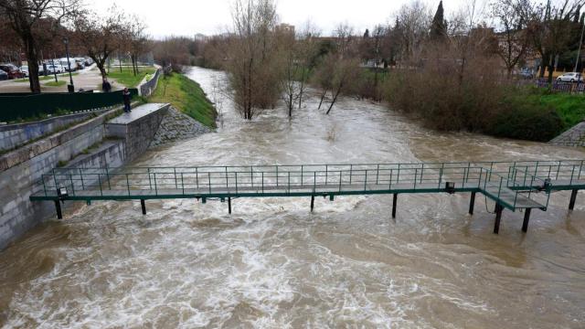 Caudal del río Manzanares este viernes en Madrid.