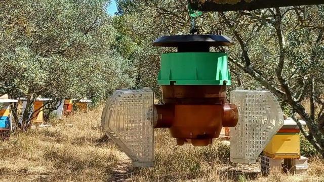 La trampa VelutinaTrap colocada en un árbol.