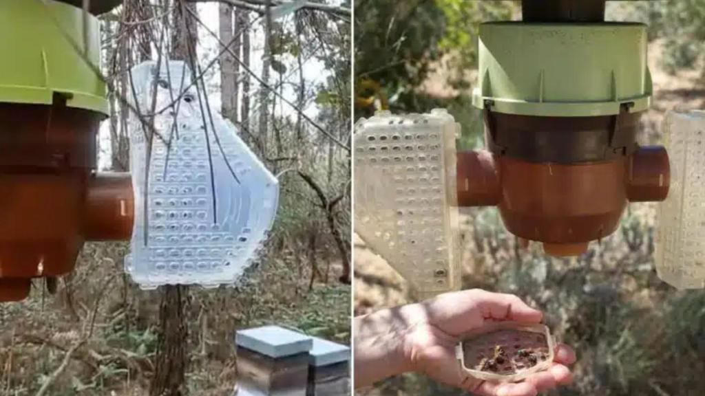 La trampa VelutinaTrap.