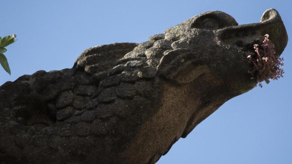 Una de las gárgolas que se pueden encontrar en Santiago de Compostela, en concreto, en el Monasterio  de San Martín Pinario.