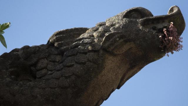 Una de las gárgolas que se pueden encontrar en Santiago de Compostela, en concreto, en el Monasterio  de San Martín Pinario.