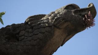 Una de las gárgolas que se pueden encontrar en Santiago de Compostela, en concreto, en el Monasterio  de San Martín Pinario.