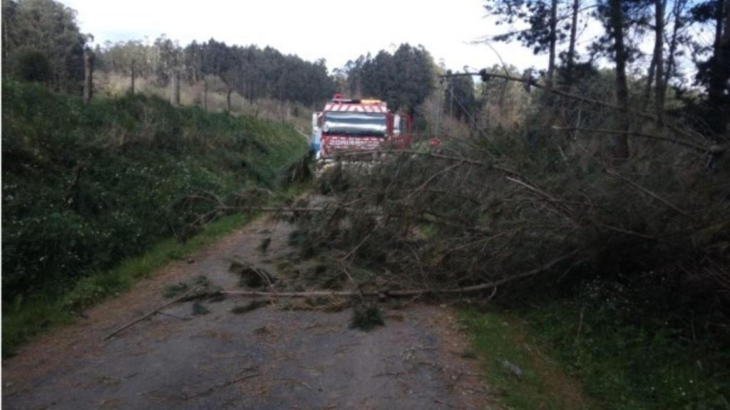 Los bomberos retiran un árbol caído en O Pino.