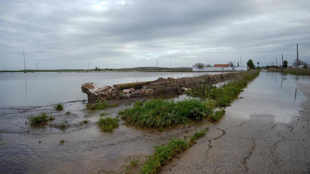 Inundaciones en El Palmar de Troya.
