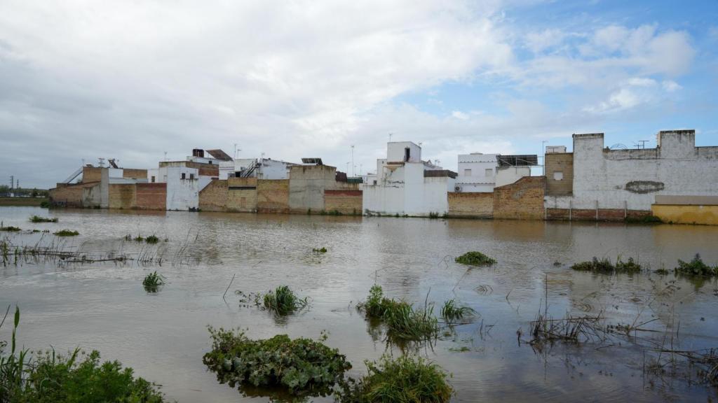 Inundaciones en El Palmar de Troya (Sevilla).