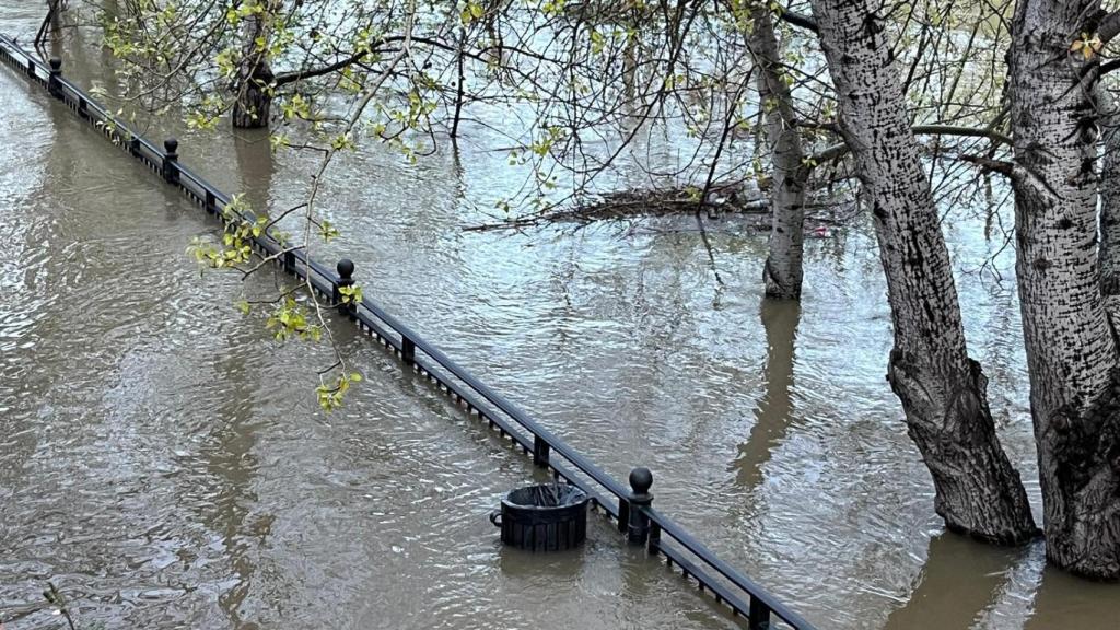 El río Tajo ha inundado parte de las riberas en Talavera de la Reina.