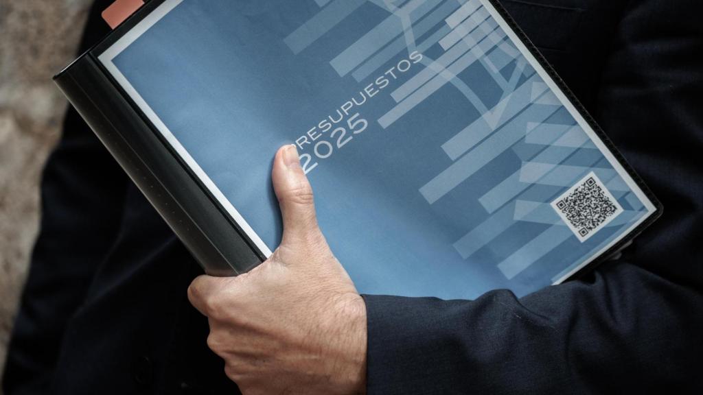 Proyecto de Presupuestos de 2025. Biel Aliño