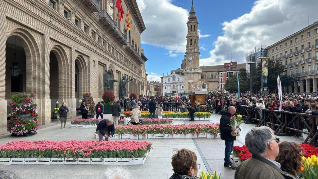 El mercado de tulipanes con cientos de zaragozanos haciendo fila para conseguir un ramo.