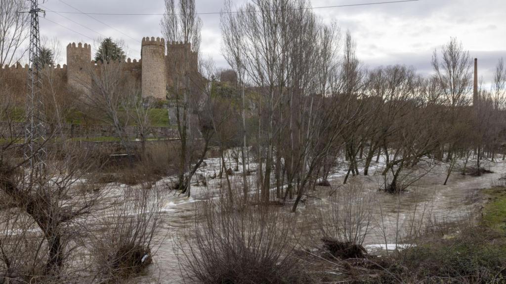 El río Adaja a su paso por la ciudad de Ávila