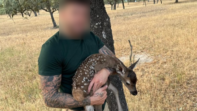 Uno de los detenidos del clan de Los Makas, el grupo asentado en la provincia de Cáceres.